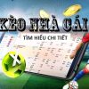 V9BET_Tips Đá Gà Trực Tiếp Ở Casino Thắng Lớn Cực Khủng